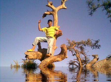 KWIKIWA     ��APOCALYPS��    KWIKIWA