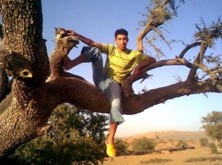                KWIKIWA     ��APOCALYPS��    KWIKIWA