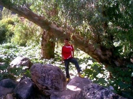 KWIKIWA     ��APOCALYPS��    KWIKIWA