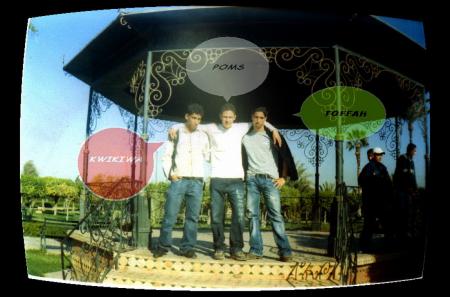 kwikIWA & poms & toffah