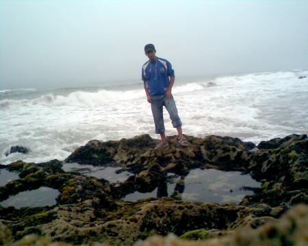 KWIKIWA     ��APOCALYPS��    KWIKIWA